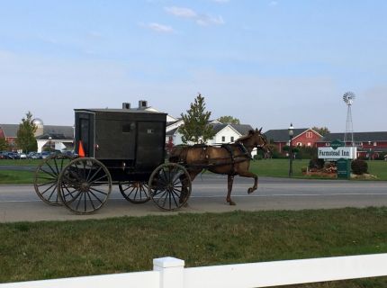 Horse and Buggy at the Farmstead Inn in Shipshewana, IN