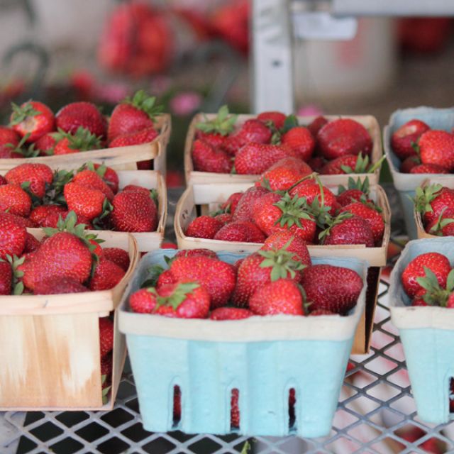 Fresh Strawberries for Sale at Shipshewana Flea Market