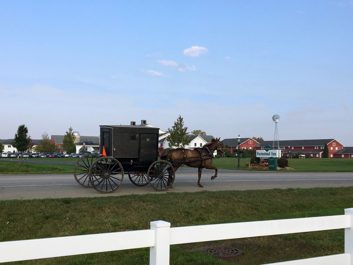 Amish Horse and Buggy driving past Farmstead Inn in Shipshewana, Indiana