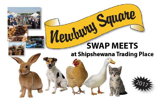 Newbury Square Swap Meet 2017 Shipshewana Indiana Auction