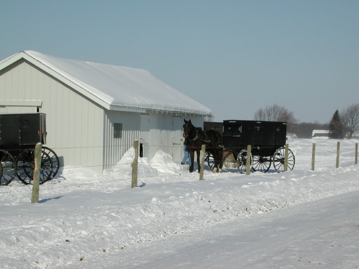 Amish Christmas Celebrations Shipshewana, Indiana Shipshewana