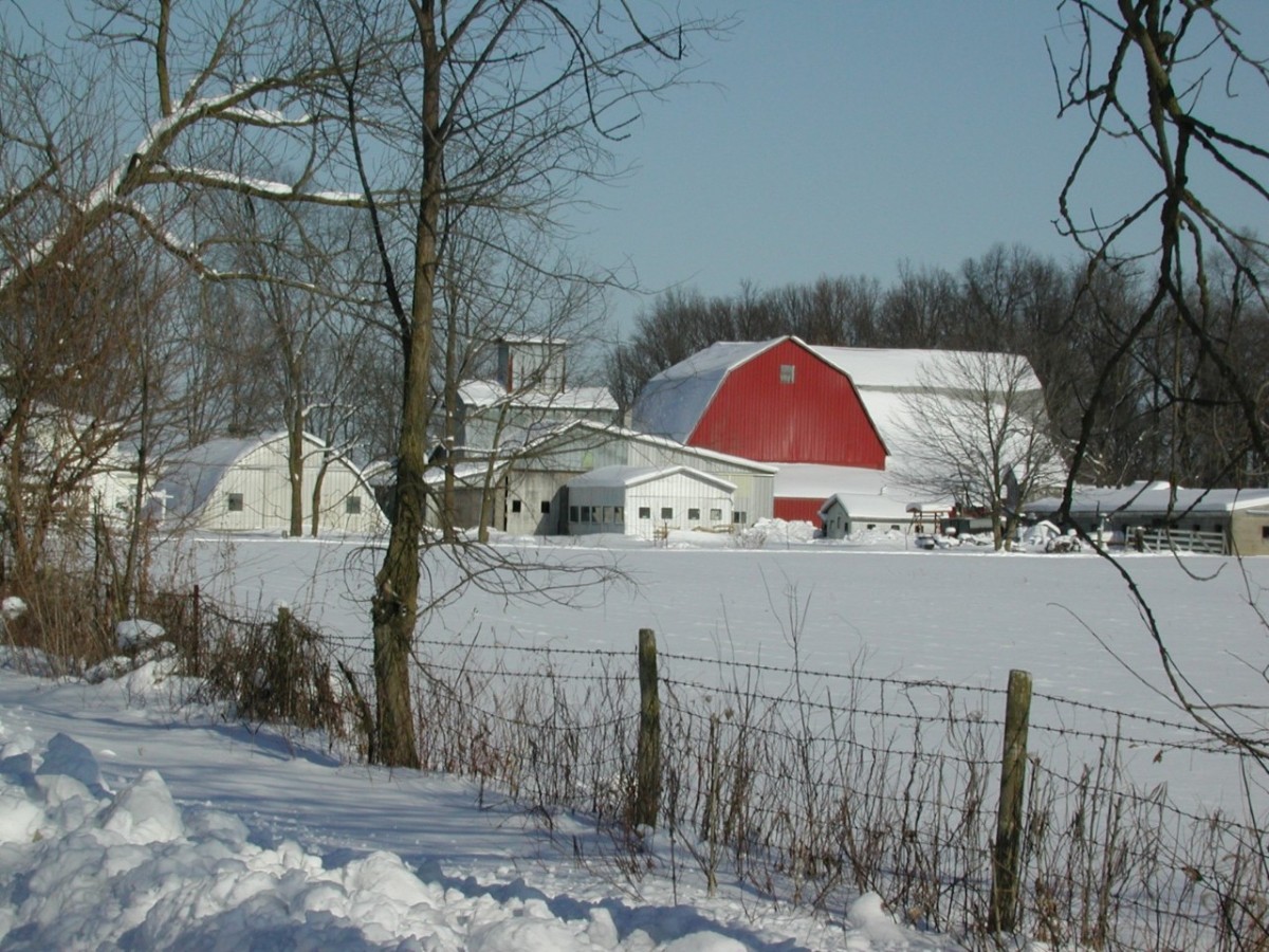 Do the Amish Celebrate Christmas?