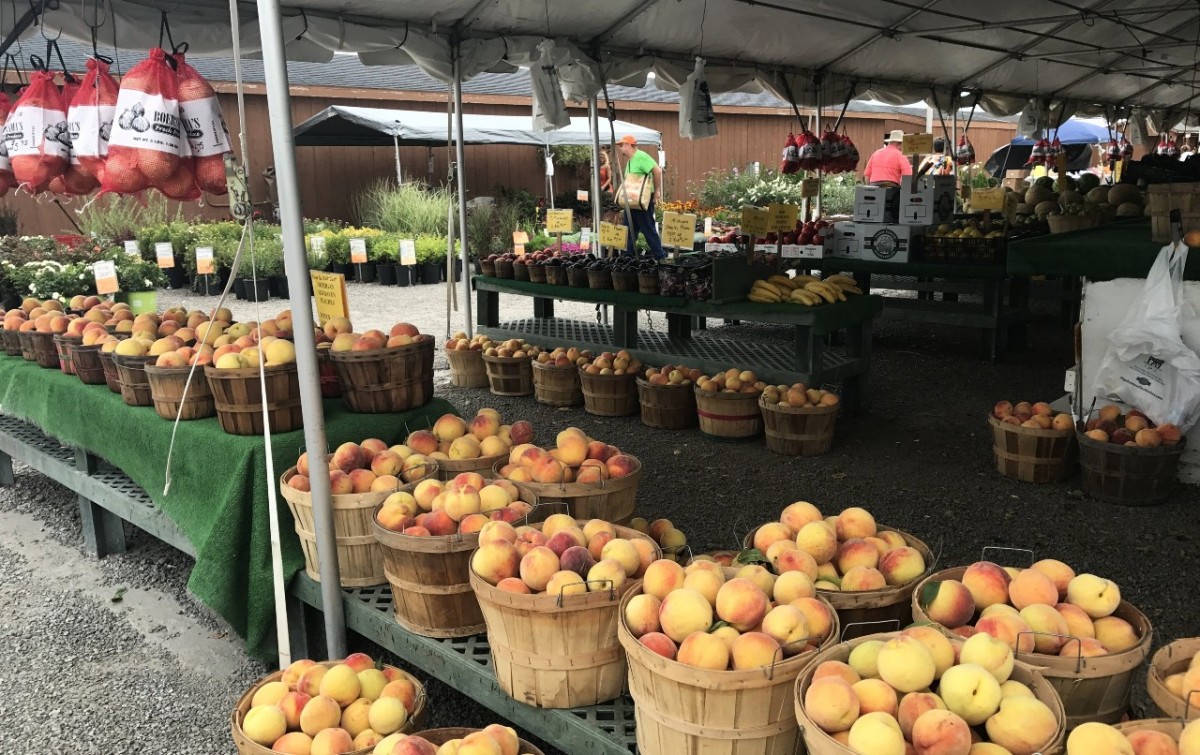 Guide to LaGrange County Area Farmer’s Markets