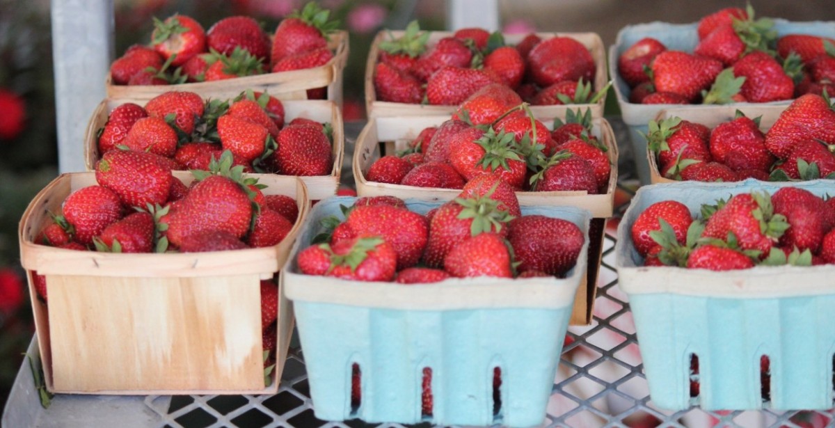 Ripe red strawberries in green fiber and natural wooden berry baskets in Shipshewana Flea Market Farmer's Market.