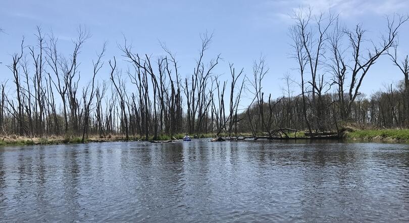 There’s Nothing Better than Paddling These Two Rivers Near Shipshewana