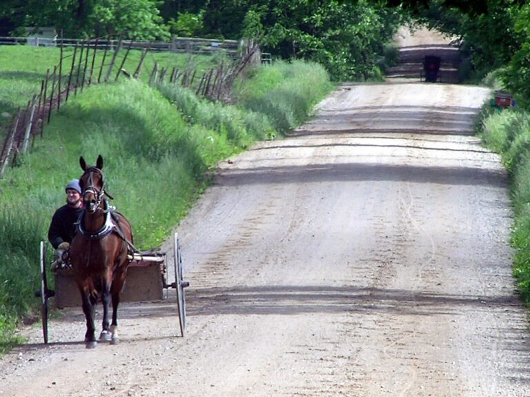 horse and buggy on road with amish driver in shipshewana, weekend trip idea