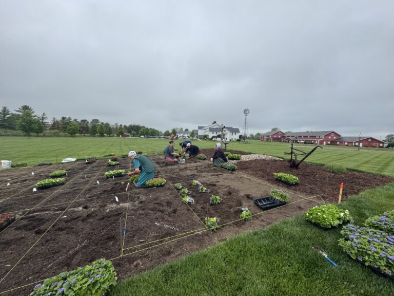 shipshewana garden club, farmstead inn, quilt gardens along the heritage trail